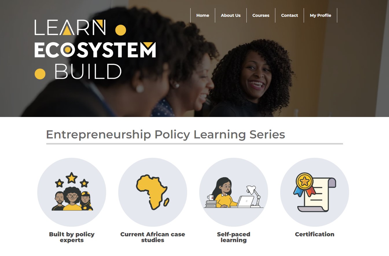 Online Entrepreneurship Policy Learning Series